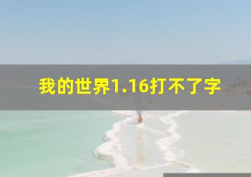 我的世界1.16打不了字