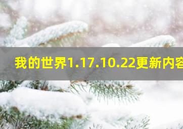 我的世界1.17.10.22更新内容