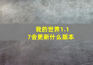 我的世界1.17会更新什么版本