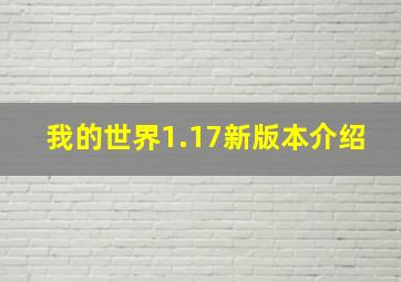 我的世界1.17新版本介绍