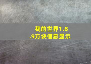 我的世界1.8.9方块信息显示