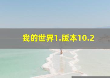 我的世界1.版本10.2