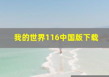 我的世界116中国版下载