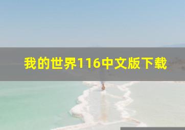 我的世界116中文版下载