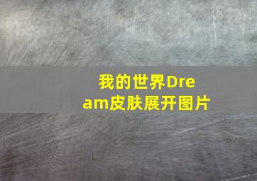 我的世界Dream皮肤展开图片