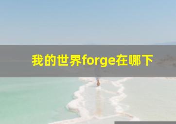 我的世界forge在哪下