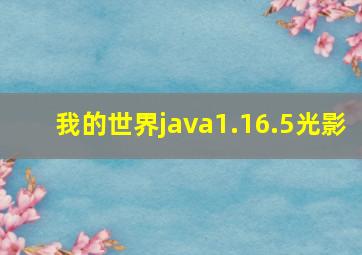 我的世界java1.16.5光影