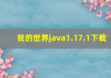 我的世界java1.17.1下载