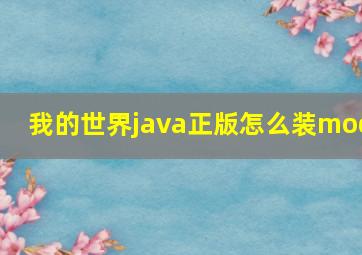 我的世界java正版怎么装mod