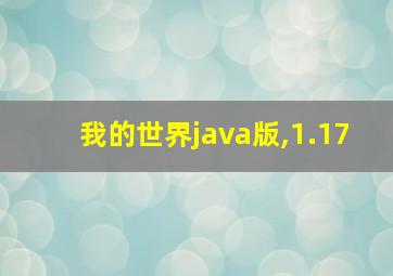 我的世界java版,1.17