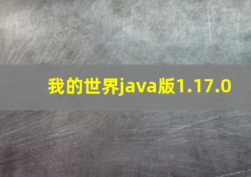 我的世界java版1.17.0