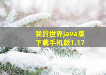 我的世界java版下载手机版1.17