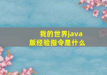 我的世界java版经验指令是什么