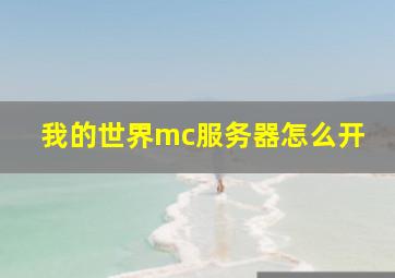 我的世界mc服务器怎么开