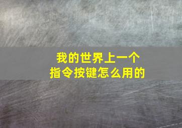 我的世界上一个指令按键怎么用的