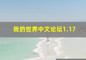 我的世界中文论坛1.17