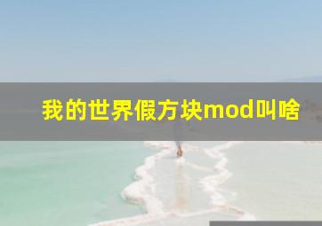 我的世界假方块mod叫啥