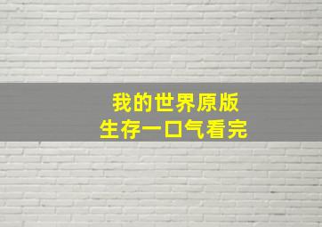 我的世界原版生存一口气看完