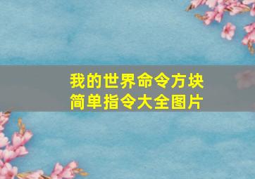 我的世界命令方块简单指令大全图片