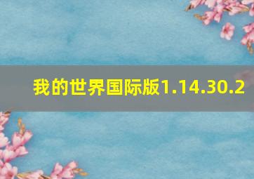 我的世界国际版1.14.30.2