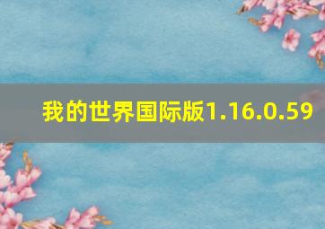 我的世界国际版1.16.0.59