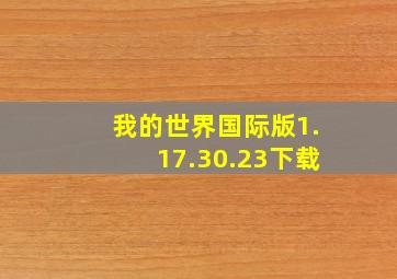 我的世界国际版1.17.30.23下载