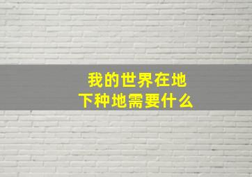 我的世界在地下种地需要什么