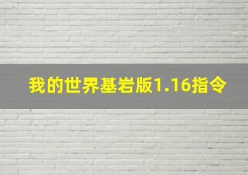 我的世界基岩版1.16指令