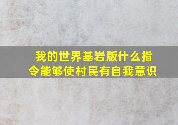 我的世界基岩版什么指令能够使村民有自我意识