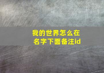 我的世界怎么在名字下面备注id