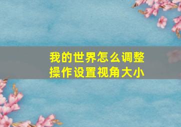 我的世界怎么调整操作设置视角大小