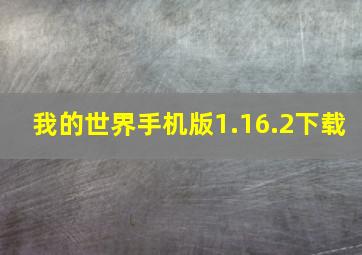 我的世界手机版1.16.2下载