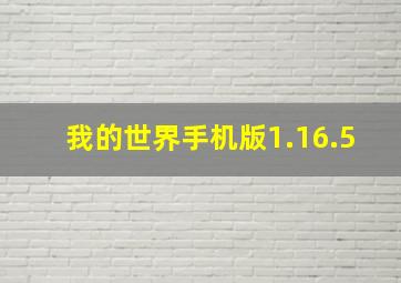 我的世界手机版1.16.5