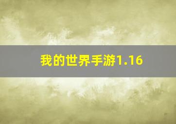 我的世界手游1.16