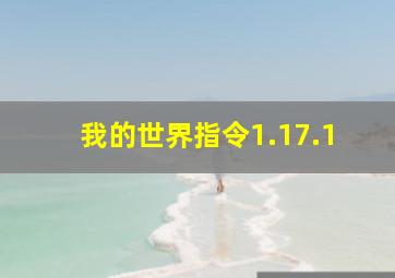 我的世界指令1.17.1