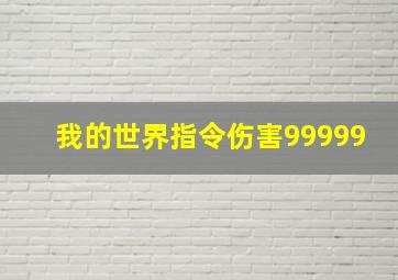 我的世界指令伤害99999