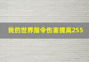 我的世界指令伤害提高255