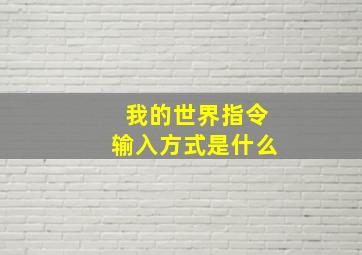 我的世界指令输入方式是什么