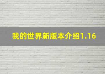 我的世界新版本介绍1.16