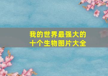 我的世界最强大的十个生物图片大全