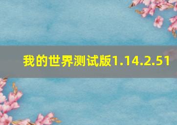 我的世界测试版1.14.2.51