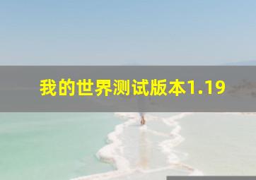 我的世界测试版本1.19