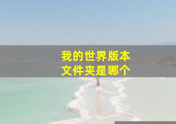 我的世界版本文件夹是哪个