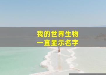 我的世界生物一直显示名字