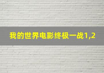 我的世界电影终极一战1,2