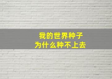 我的世界种子为什么种不上去