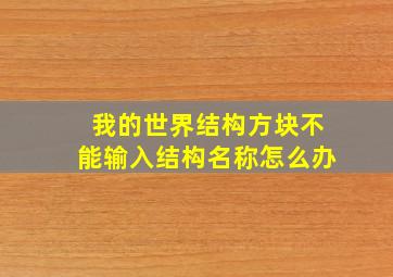 我的世界结构方块不能输入结构名称怎么办