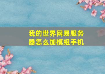 我的世界网易服务器怎么加模组手机