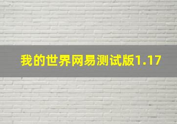 我的世界网易测试版1.17