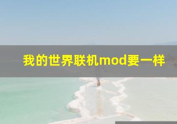 我的世界联机mod要一样